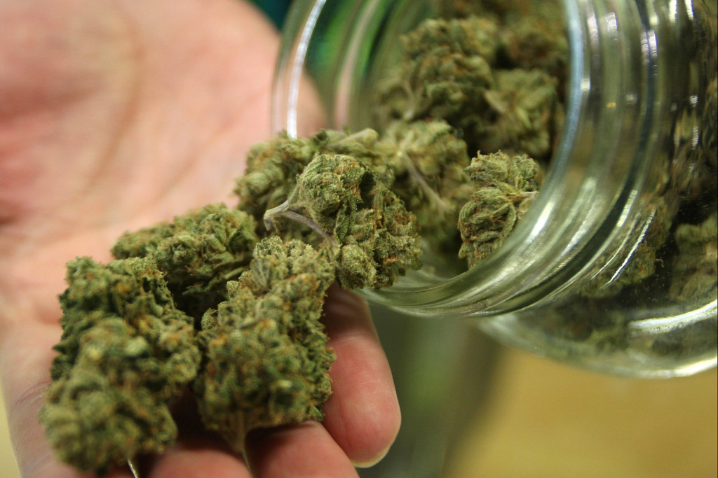 Medical Marijuana Legal in Florida – So Now What?